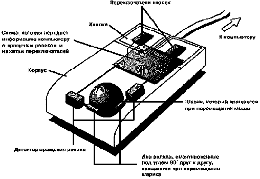 Графический манипулятор – мышь